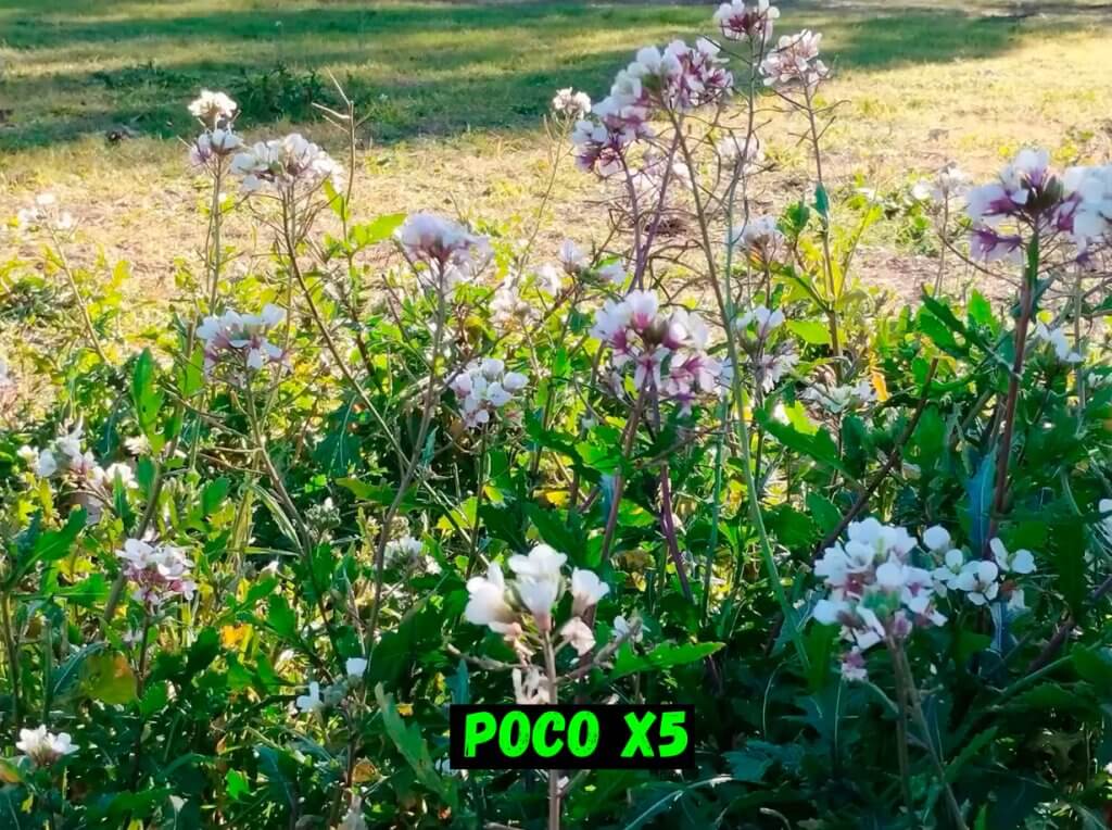 FOTO-POCO-X5